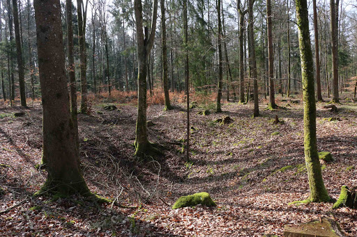 Oberjesingen - Thumbnail