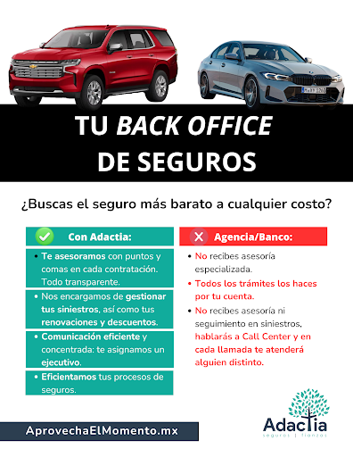 EHL | Adactia Seguros y Fianzas - Thumbnail