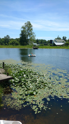 Annville Institute Pool - Thumbnail