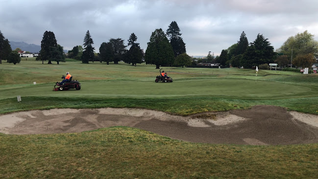 Reviews of Matt Schofield Golf Limited in Rotorua - Golf Club