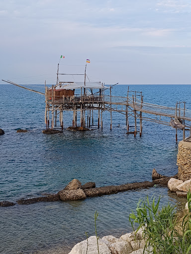 Baracconda - Visual