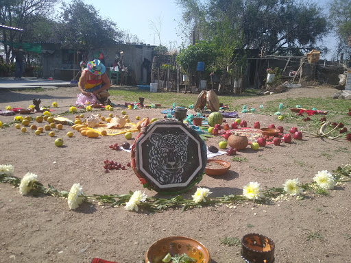 Flor de Agua-Fuego Temazcal Gallery - Mexico
