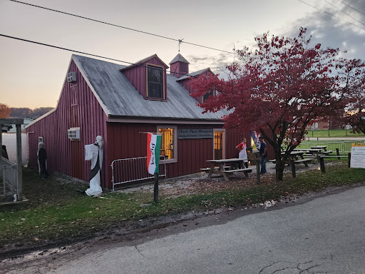 Third place Metamora - Thumbnail