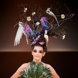 Photo n°5 de Studio sandy à Vienne (Barbier)