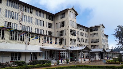 Photos of Delmar Estate TEA Factory