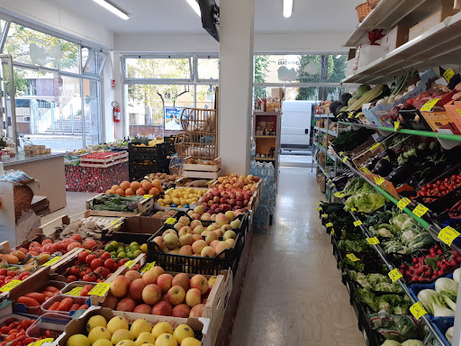 Mini Market LA SINFONIA DI GIOACCHINA agrumi BLANDINI - Thumbnail