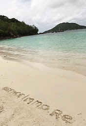 Photo n°5 de AGENCEIMMO.RE à Saint-Paul (Agence immobilière)