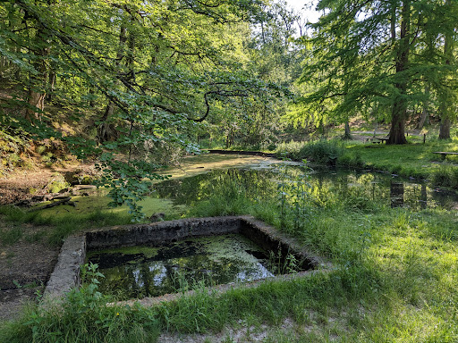 Fontaine de la Coudre