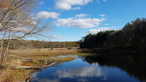 Pachaug State Forest Gallery - United States