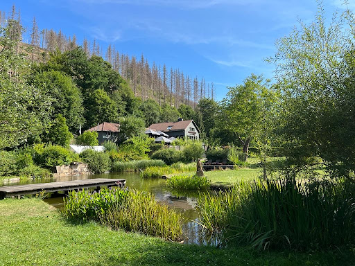 Hideaway Harz