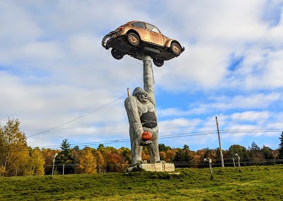 Gorilla Holding a VW Beetle