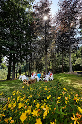 Photo n°32 de Villa Mathis à Breitenbach (Lieu de mariage)