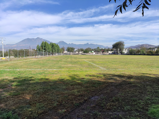 Bondhi - Visual