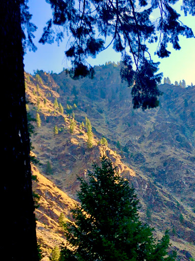 Long Tom Campground - Thumbnail