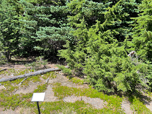 Cirque trail - Visual