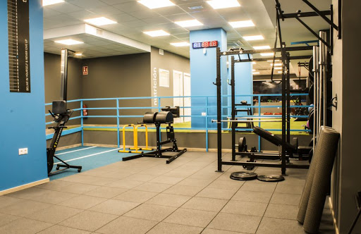 Trainme Studio - Visual