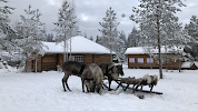 Фотография ЭтоКарелия, Петрозаводск, Россия