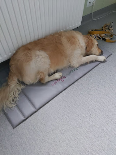 Przychodnia weterynaryjna Aleksander Gierek - Weterynarz