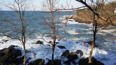 Photos of &Uuml;st&uuml;n Kardeşler Et Lokantası