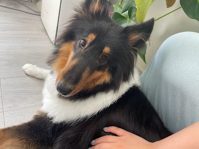 dogsalon cupi(クピ)