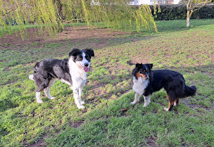 Photo n°6 de Chez Linette à Plumergat (Garde d'animaux de compagnie)