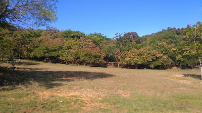 Photos of Forest Green Zone