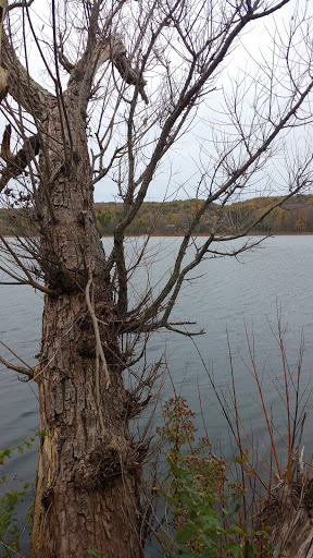 Lake Pleasant Conservation Area - Thumbnail