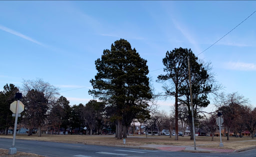 Bruner Park - Visual