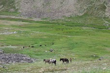 Deosai National Park Gilgit