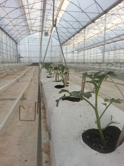Photos of K&Ouml;SERA TARIM
