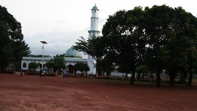 Photos of Grande Mosqu&eacute;e de Tan&eacute;n&eacute;