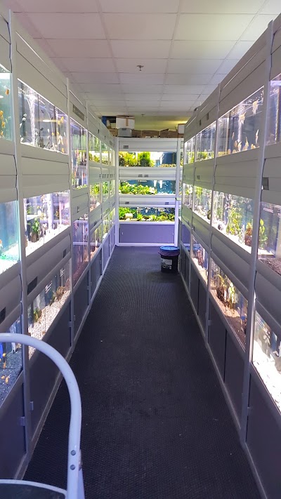 Photos of The Pet Shop LLC