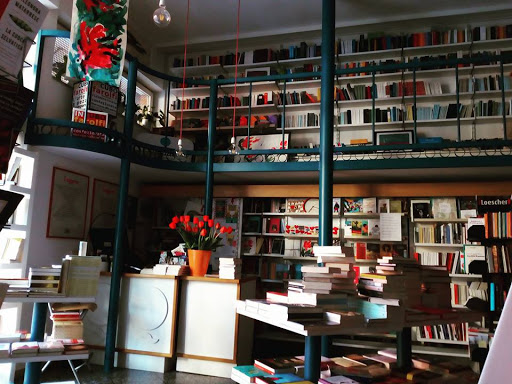 Libreria Quintiliano - Thumbnail