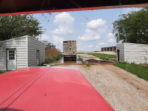 Adams Trailer Washout - Thumbnail