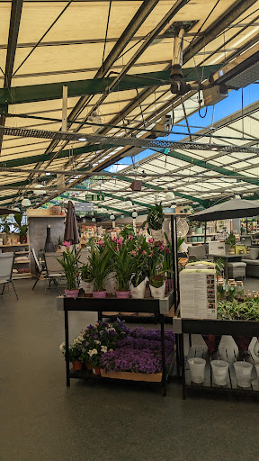 Dobbies Garden Centre Hare Hatch - Thumbnail