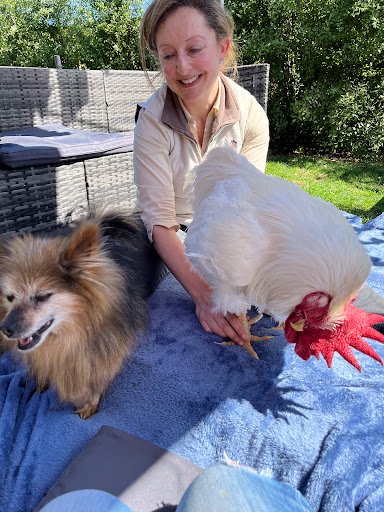 Pawsitive Animal Therapies Gallery - Australia