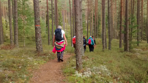Kotjärnsterrasen - Thumbnail