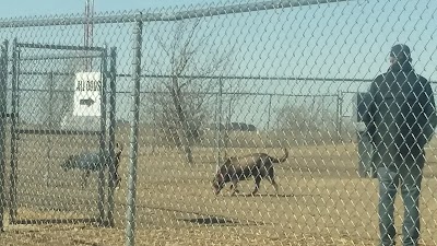 Meadowlark North Dog Park