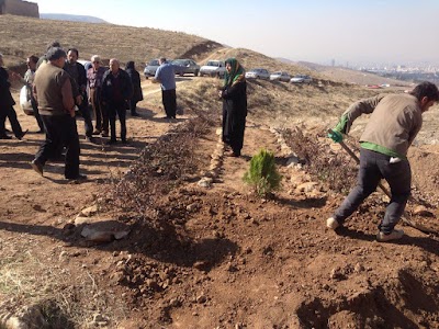 Photos of Zeytoon Town