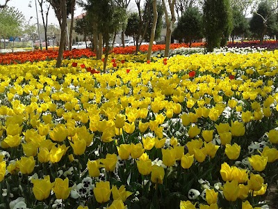 Photos of Razi Park