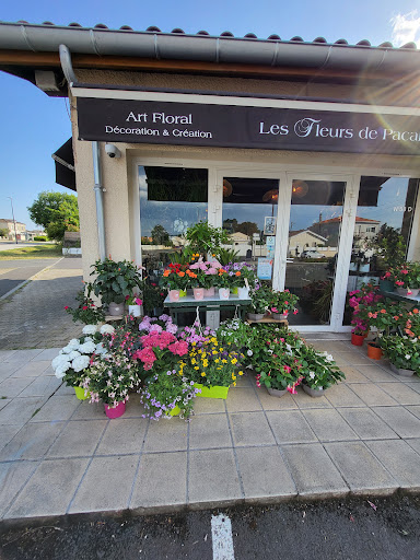 Photo de Fleurs &amp; Terres à Talence (33400)