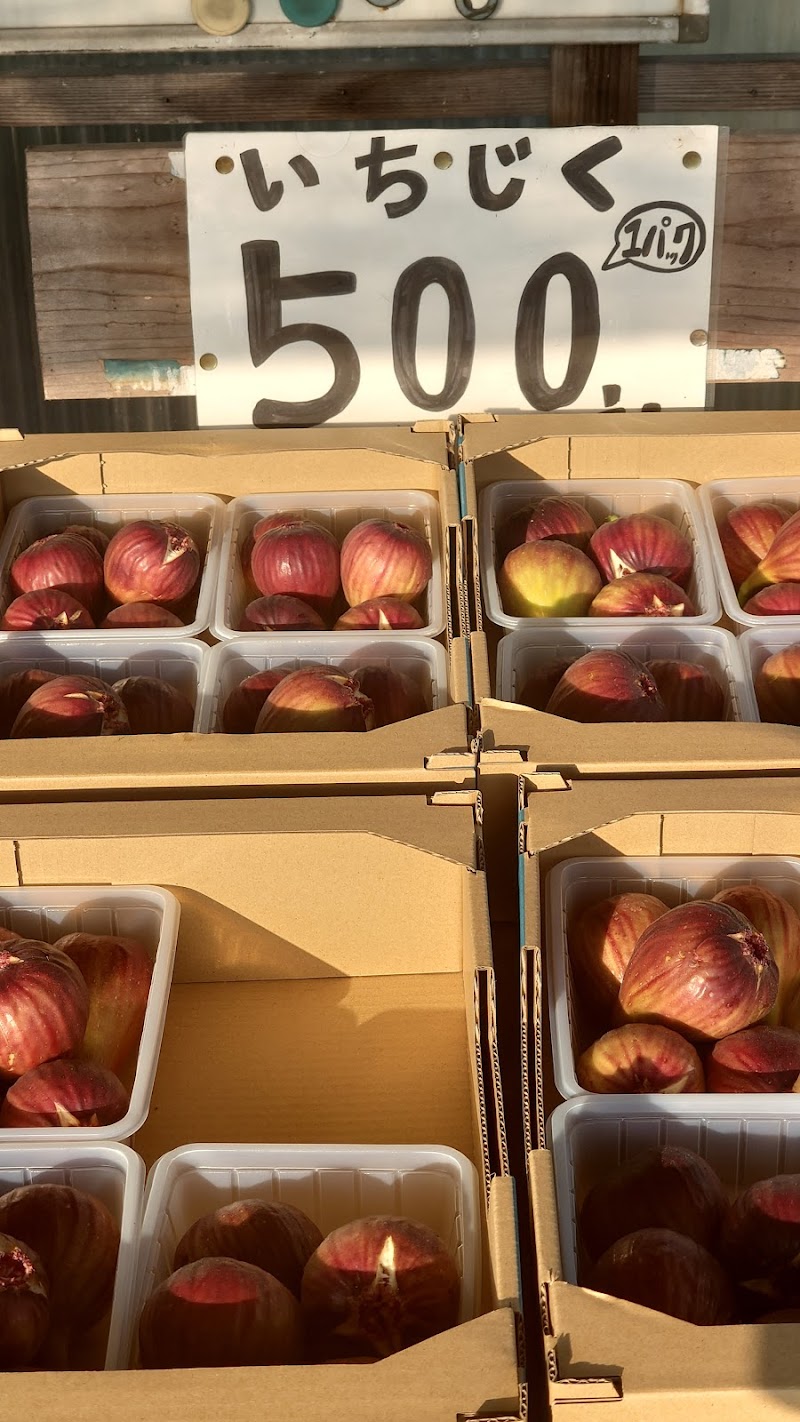 無花果問屋のゆきえもん