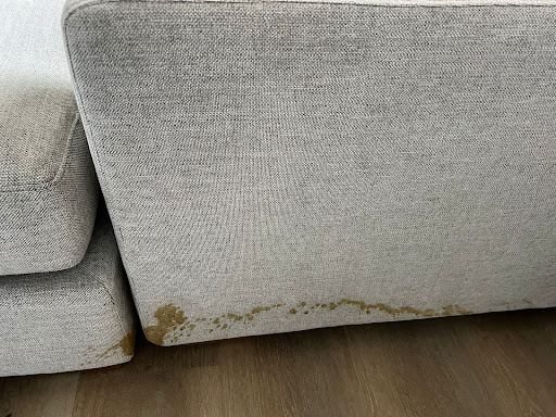 Pristine Carpet & Upholstery Cleaning - Thumbnail