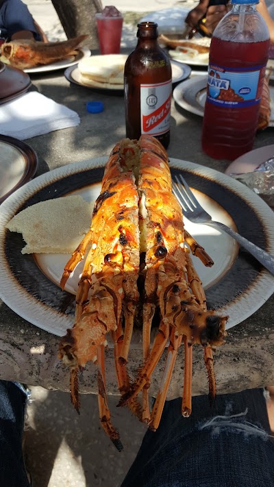 Photos of Far Out Fish Hut & Beer Joint