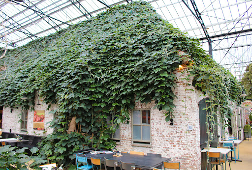 site_photo2