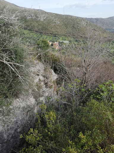 Spacco degli ulivi