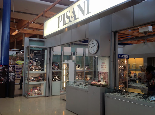 Pisani - Visual