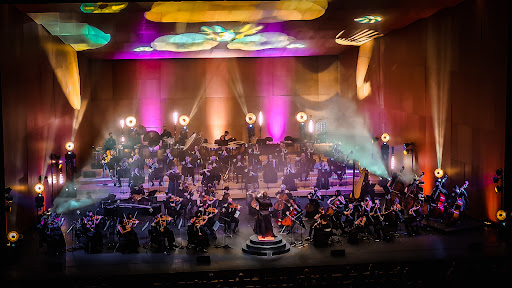 Auditorio Baluarte - Visual