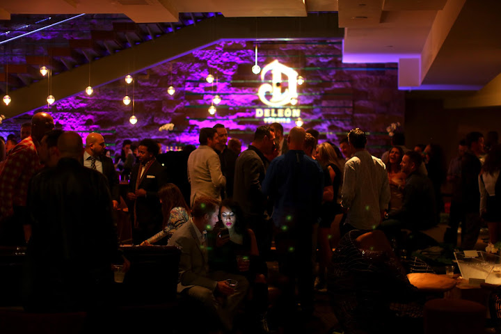 Cottontail Lounge by null