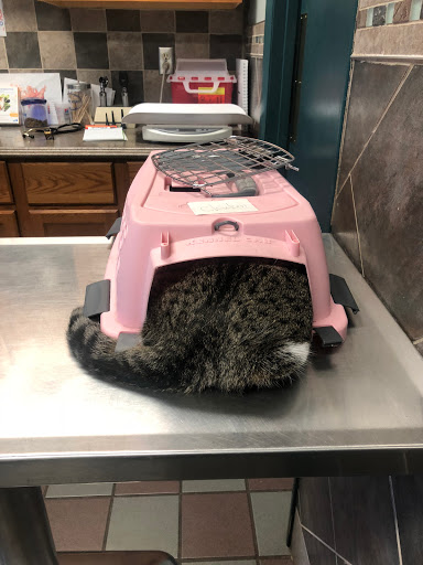 R Veterinary at Columbia Gallery - United States